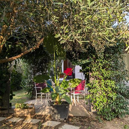 Вилла La Maison Sous L'Olivier Morieres-les-Avignon Экстерьер фото