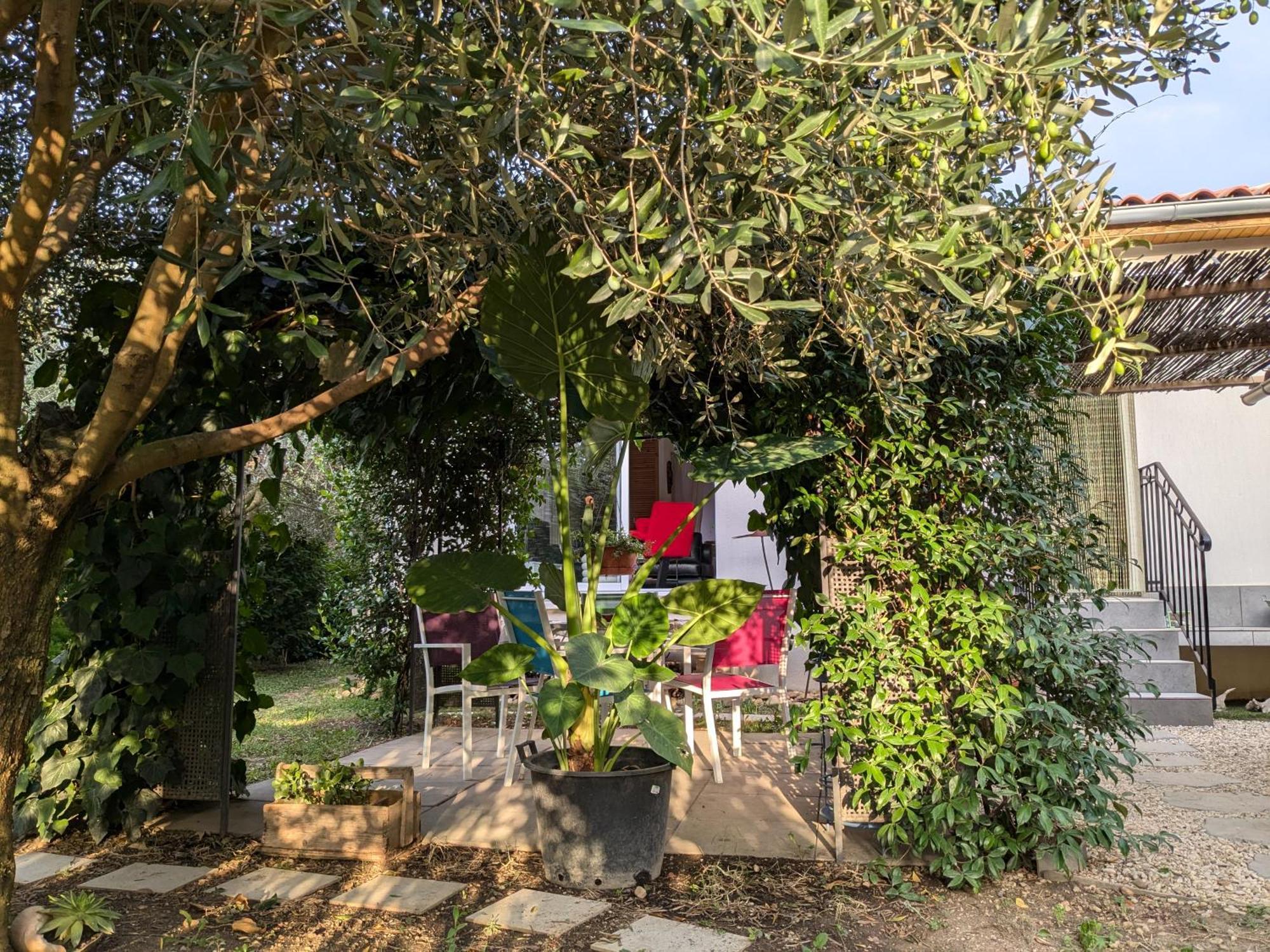 Вилла La Maison Sous L'Olivier Morieres-les-Avignon Экстерьер фото